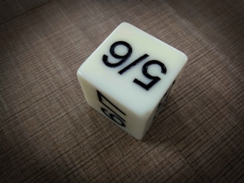 WHITE PLASTIC D6 DICE